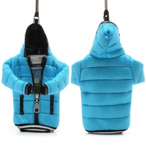 Kako zavarovati telefon pred mrazom?